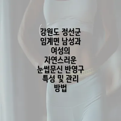 강원도 정선군 임계면 남성과 여성의 자연스러운 눈썹문신 반영구 특성 및 관리 방법