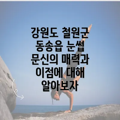 강원도 철원군 동송읍 눈썹 문신의 매력과 이점에 대해 알아보자