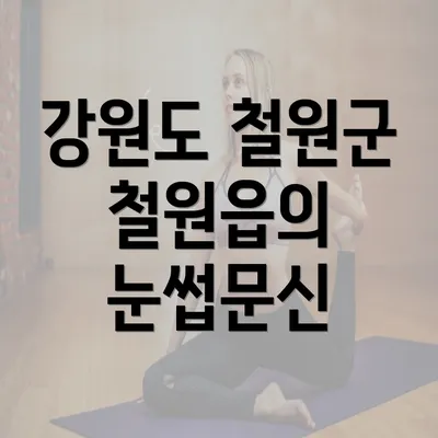 강원도 철원군 철원읍의 눈썹문신