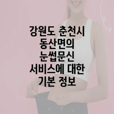 강원도 춘천시 동산면의 눈썹문신 서비스에 대한 기본 정보