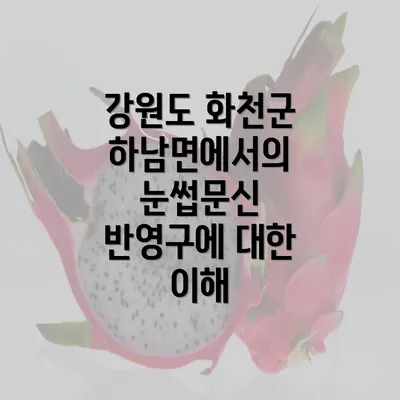 강원도 화천군 하남면에서의 눈썹문신 반영구에 대한 이해