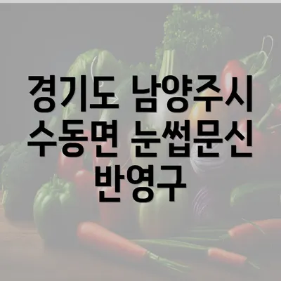 경기도 남양주시 수동면 눈썹문신 반영구