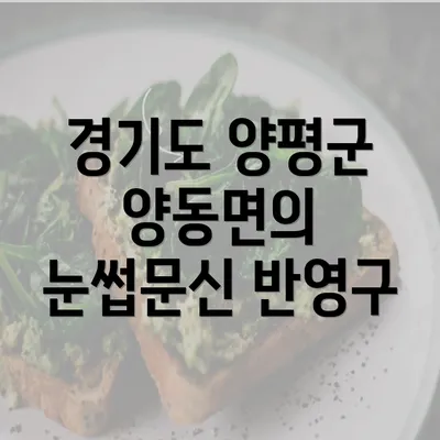 경기도 양평군 양동면의 눈썹문신 반영구