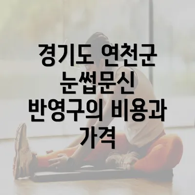 경기도 연천군 눈썹문신 반영구의 비용과 가격