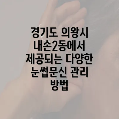 경기도 의왕시 내손2동에서 제공되는 다양한 눈썹문신 관리 방법