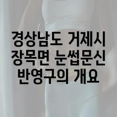 경상남도 거제시 장목면 눈썹문신 반영구의 개요