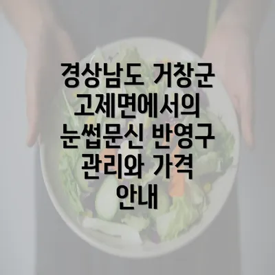 경상남도 거창군 고제면에서의 눈썹문신 반영구 관리와 가격 안내