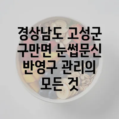 경상남도 고성군 구만면 눈썹문신 반영구 관리의 모든 것