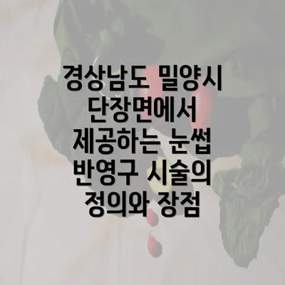 경상남도 밀양시 단장면에서 제공하는 눈썹 반영구 시술의 정의와 장점