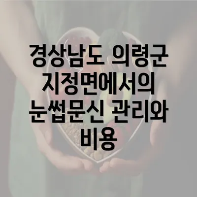 경상남도 의령군 지정면에서의 눈썹문신 관리와 비용