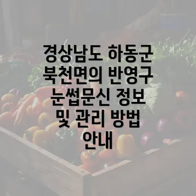 경상남도 하동군 북천면의 반영구 눈썹문신 정보 및 관리 방법 안내