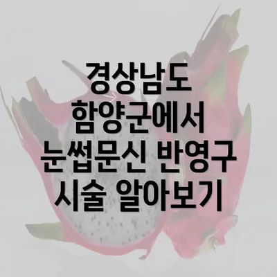 경상남도 함양군에서 눈썹문신 반영구 시술 알아보기