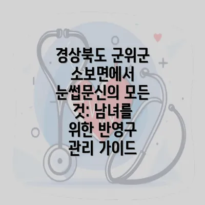 경상북도 군위군 소보면에서 눈썹문신의 모든 것: 남녀를 위한 반영구 관리 가이드