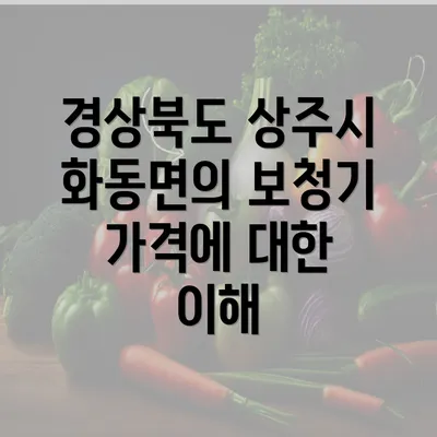 경상북도 상주시 화동면의 보청기 가격에 대한 이해