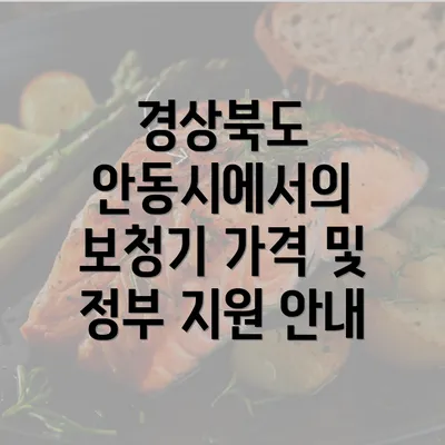 경상북도 안동시에서의 보청기 가격 및 정부 지원 안내