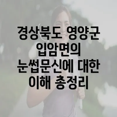 경상북도 영양군 입암면의 눈썹문신에 대한 이해 총정리