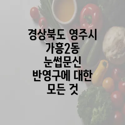 경상북도 영주시 가흥2동 눈썹문신 반영구에 대한 모든 것