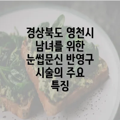 경상북도 영천시 남녀를 위한 눈썹문신 반영구 시술의 주요 특징