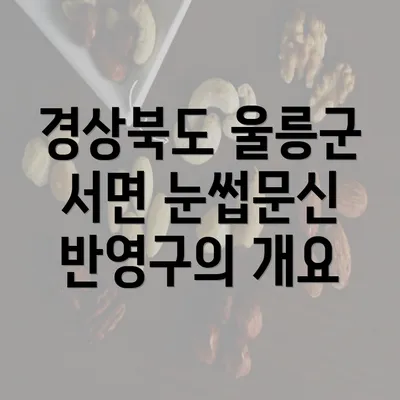 경상북도 울릉군 서면 눈썹문신 반영구