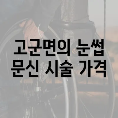 고군면의 눈썹 문신 시술 가격