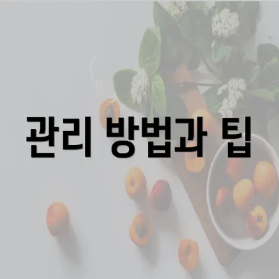 관리 방법과 팁