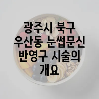 광주시 북구 우산동 눈썹문신 반영구