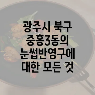 광주시 북구 중흥3동의 눈썹반영구에 대한 모든 것