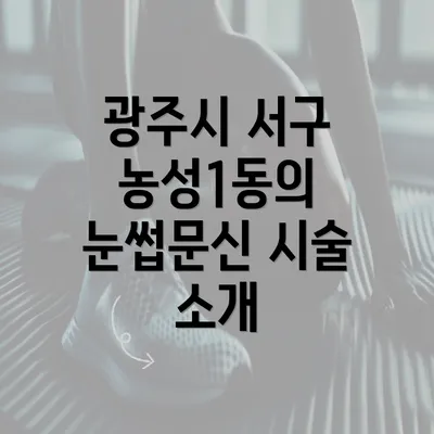 광주시 서구 농성1동의 눈썹문신 시술 소개