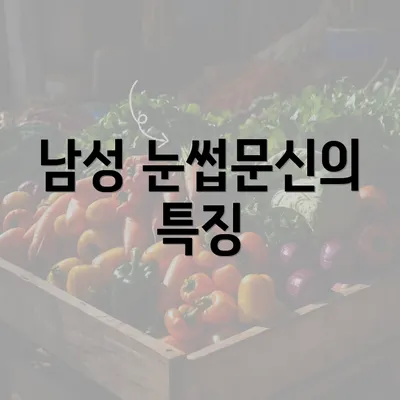 남성 눈썹문신의 특징