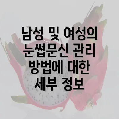 남성 및 여성의 눈썹문신 관리 방법에 대한 세부 정보