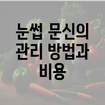 눈썹 문신의 관리 방법과 비용