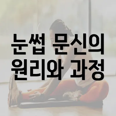 눈썹 문신의 원리와 과정