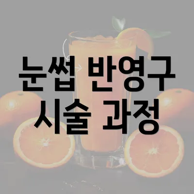 눈썹 반영구 시술 과정