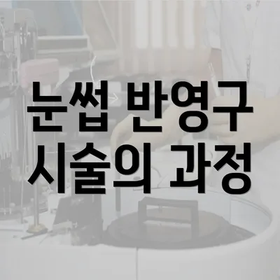 눈썹 반영구 시술의 과정