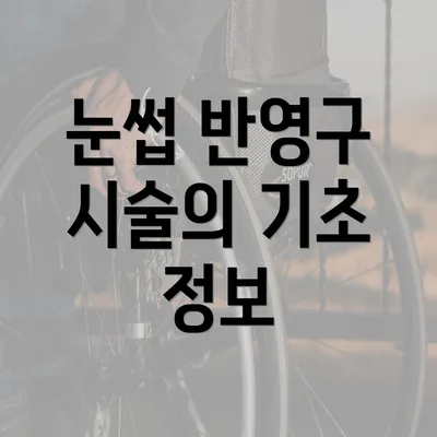 눈썹 반영구 시술의 기초 정보