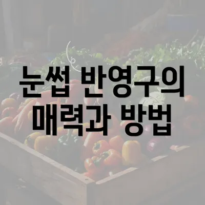 눈썹 반영구의 매력과 방법