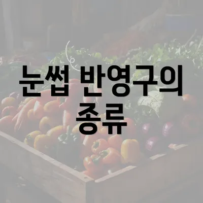 눈썹 반영구의 종류