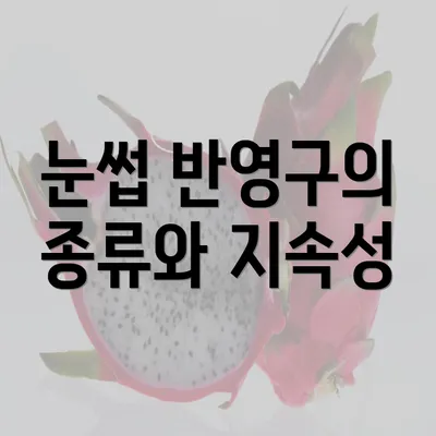 눈썹 반영구의 종류와 지속성