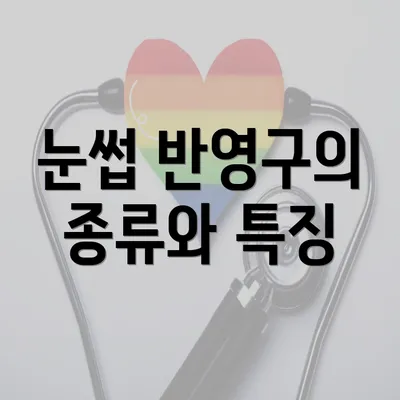 눈썹 반영구의 종류와 특징