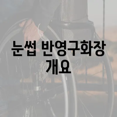 눈썹 반영구화장 개요