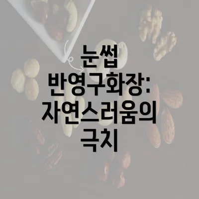 눈썹 반영구화장: 자연스러움의 극치