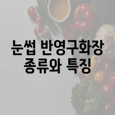 눈썹 반영구화장 종류와 특징