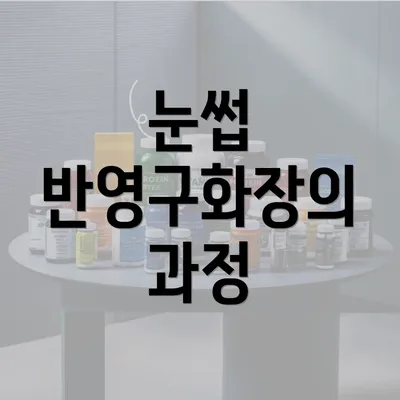 눈썹 반영구화장의 과정