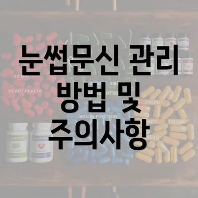 눈썹문신 관리 방법 및 주의사항