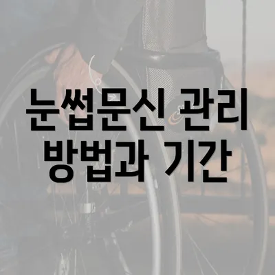 눈썹문신 관리 방법과 기간