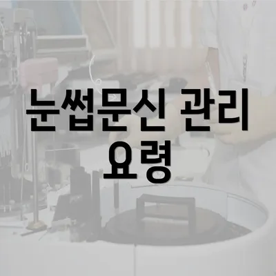 눈썹문신 관리 요령