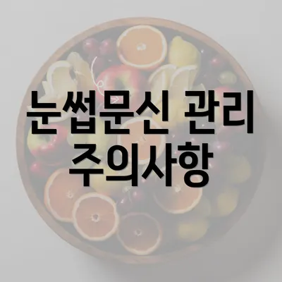 눈썹문신 관리 주의사항