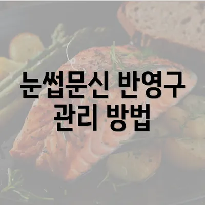 눈썹문신 반영구 관리 방법