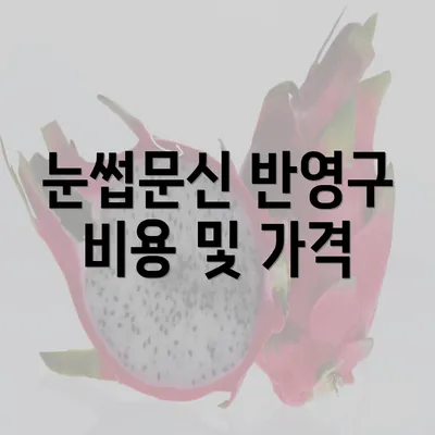 눈썹문신 반영구 비용 및 가격