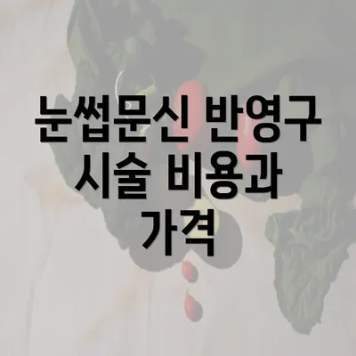 눈썹문신 반영구 시술 비용과 가격